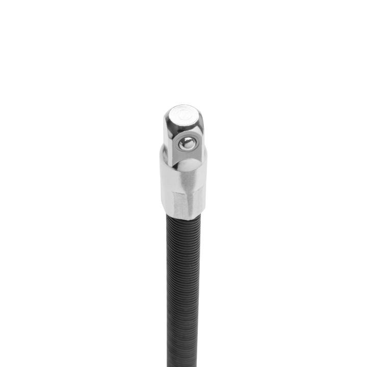 Image of SC12922