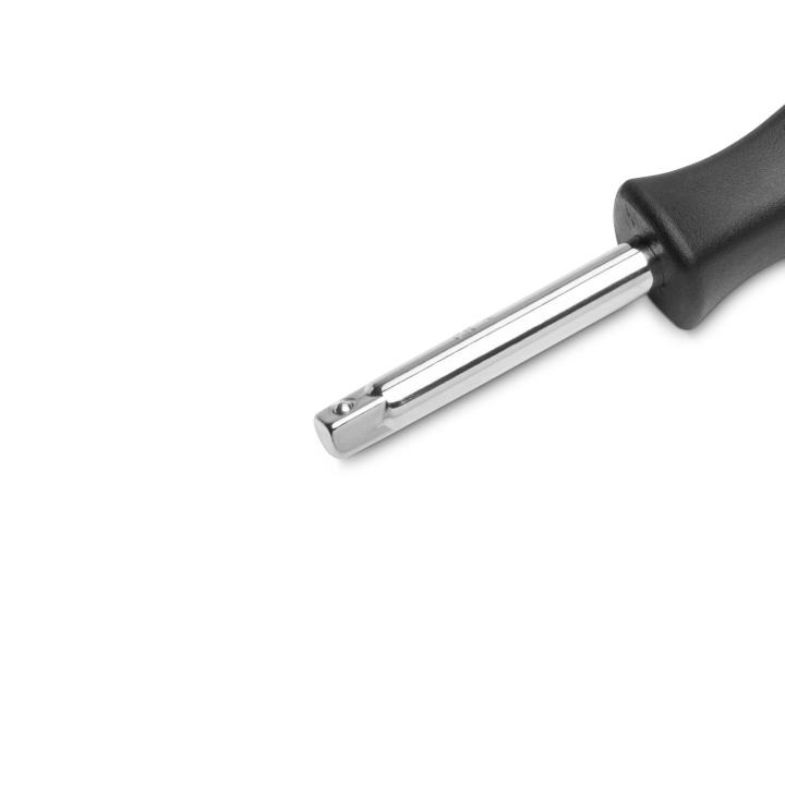 Image of SC11911