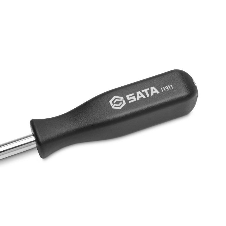 Image of SC11911